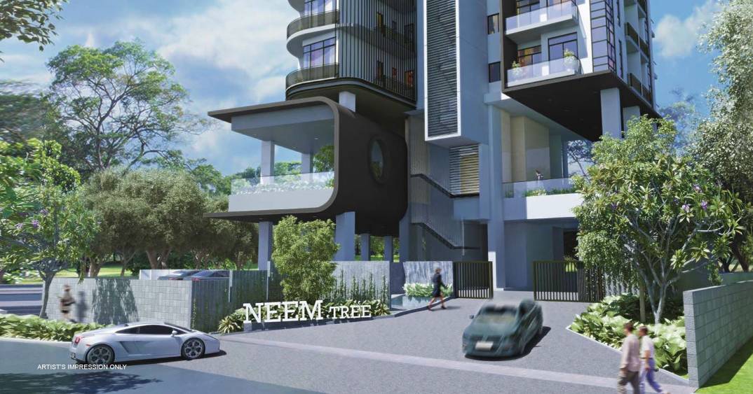 Neem Tree